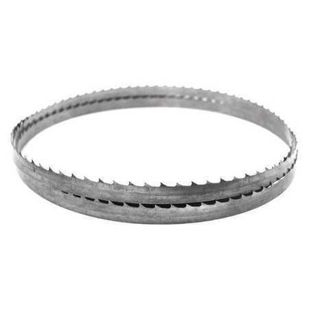 5 Ft. 4-1/2 L  Band Saw Blade